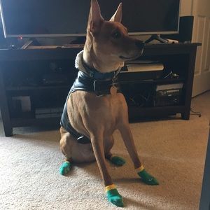 Meet your Posher, Brian